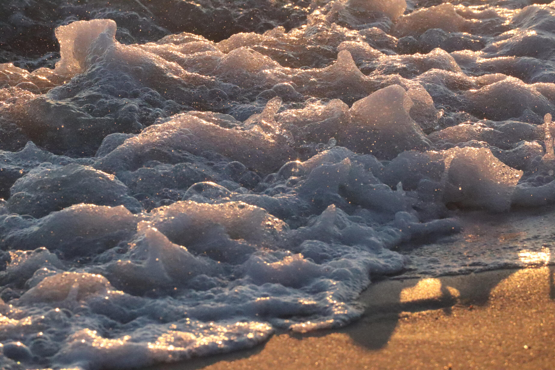 Daisy White waters hitting the sand on a beach